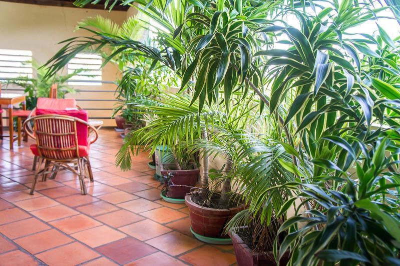 קפ Visal Sak Guesthouse מראה חיצוני תמונה